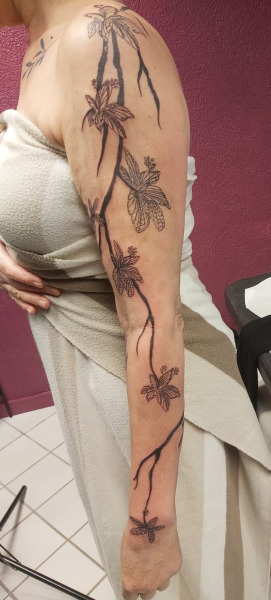 Black link - 23400 Saint-Dizier-Masbaraud